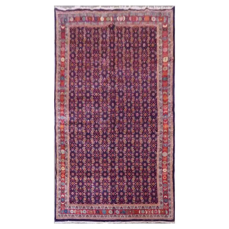 P1090793 Medium ee80ce35 c861 4d63 9dab 503fc4bc0451